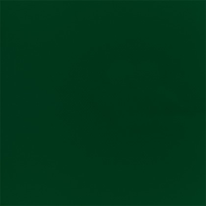 Verde Amazonas
